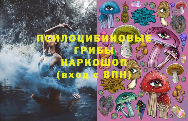 гидра Бугульма
