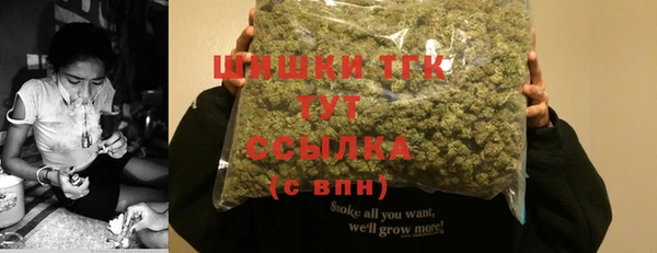 твердый Бронницы
