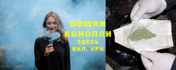 гидра Бугульма