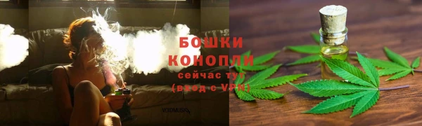 гидра Бугульма