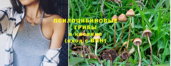 твердый Бронницы