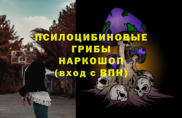 стаф Пролетарск