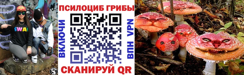 площадка наркотические препараты Новохопёрск Псилоцибиновые грибы мицелий